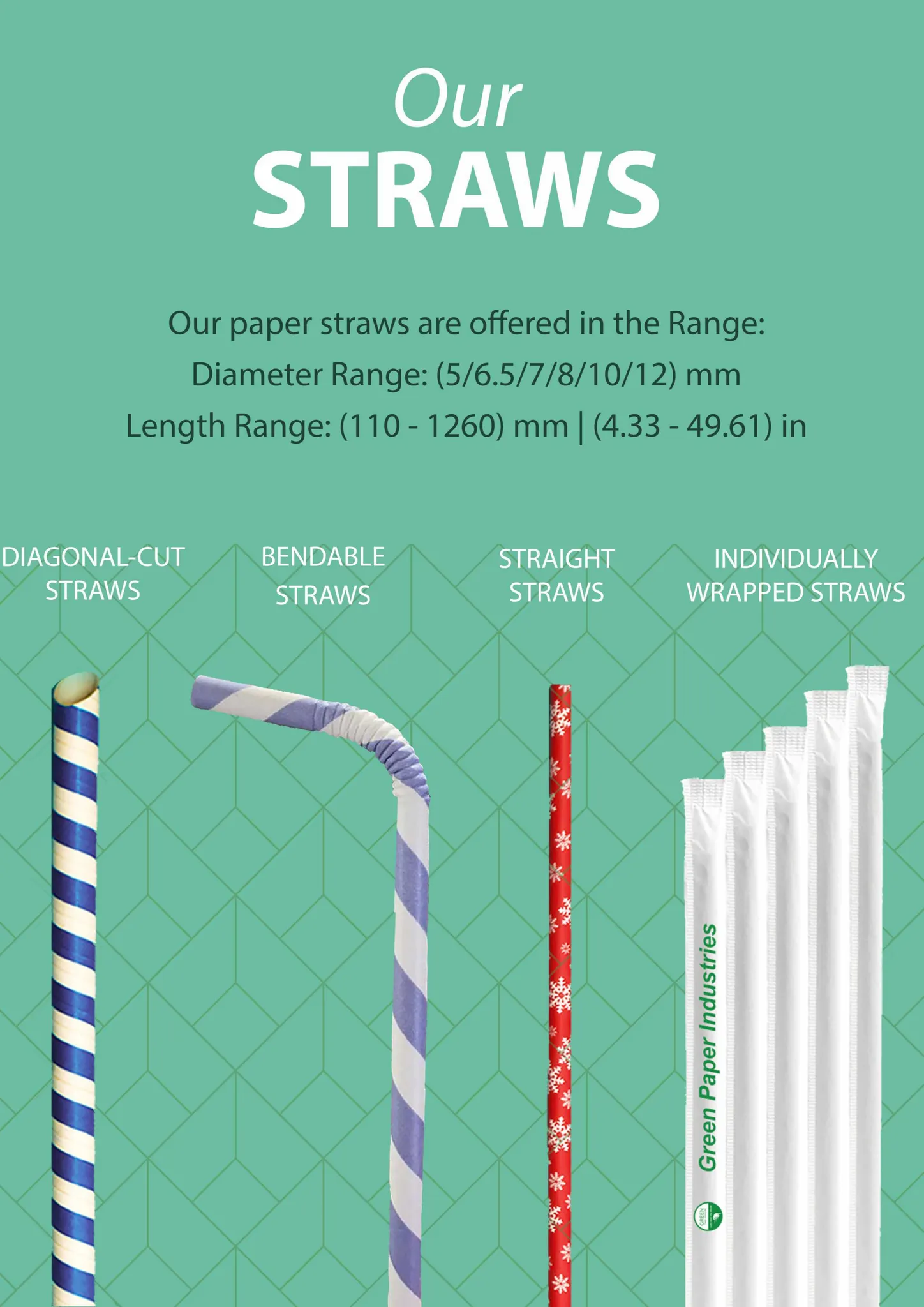 Paper Straw Manufacturing - Abu Dhabi