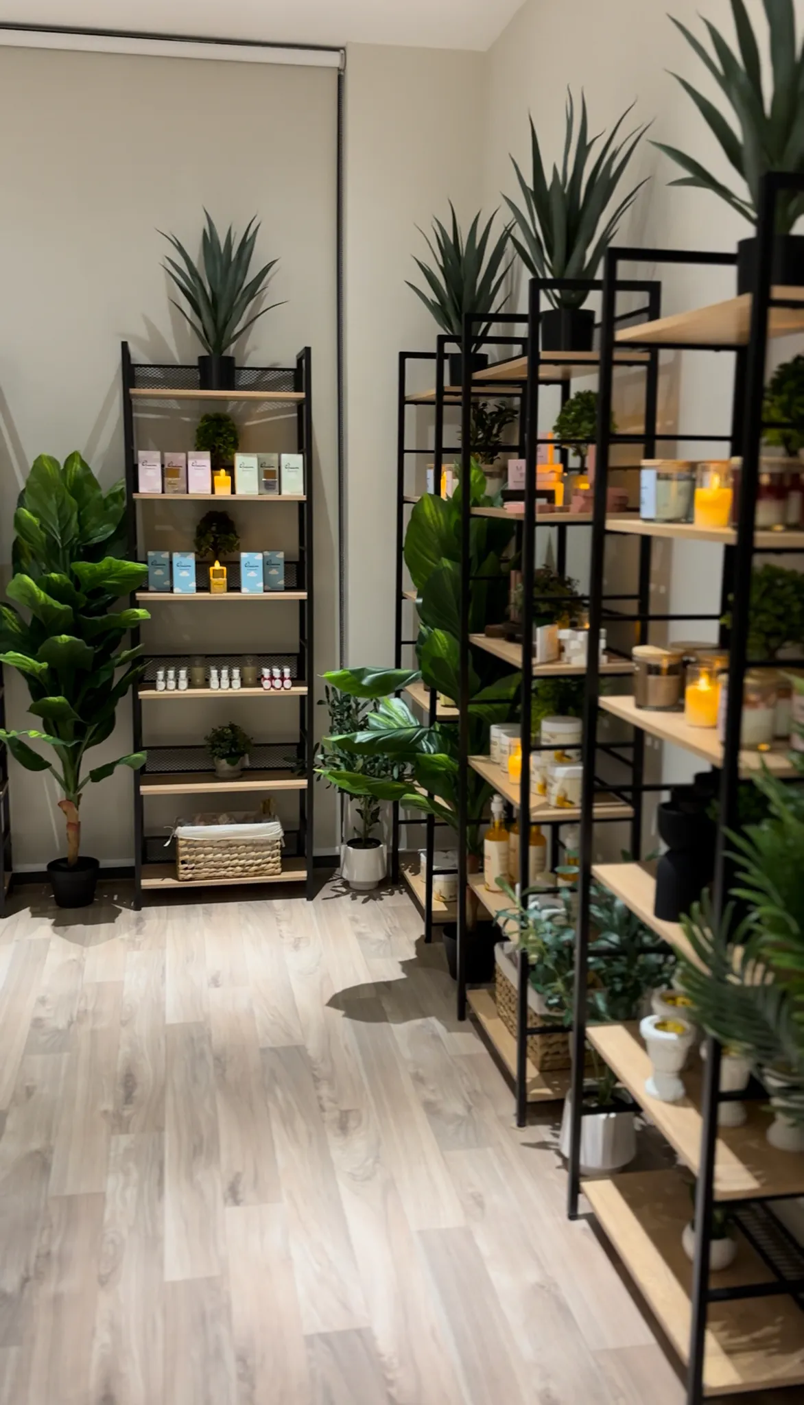 Perfume Retail Business for Sale - Sharjah